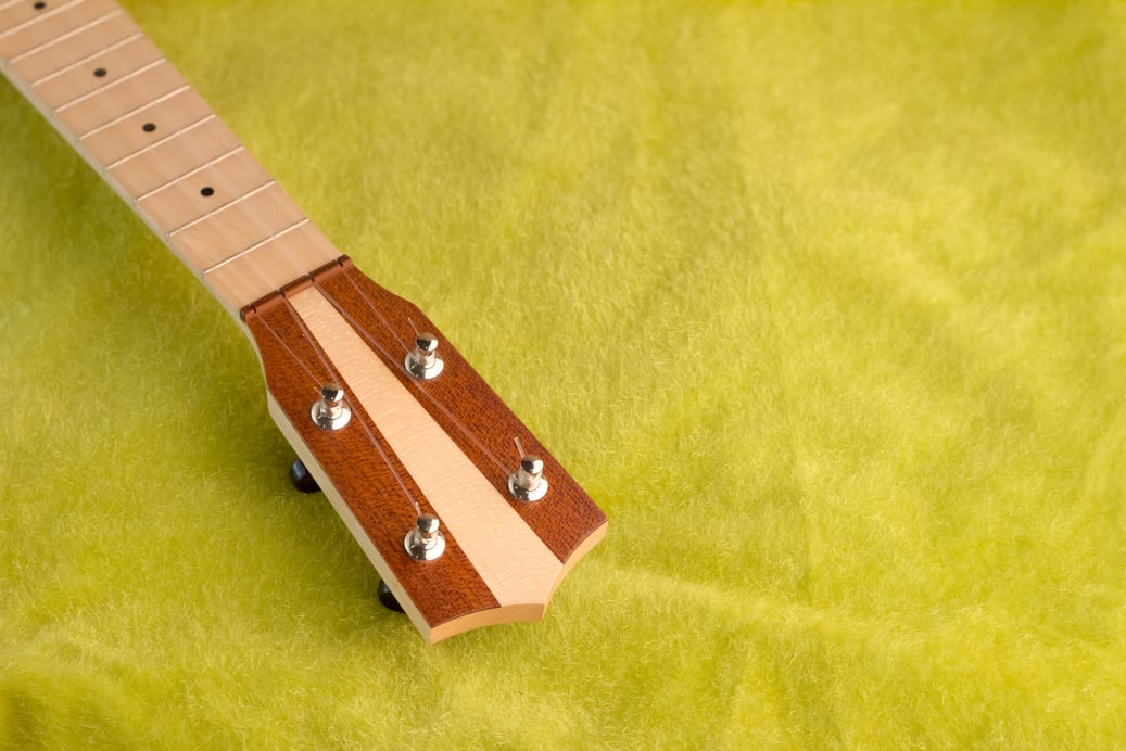 close up ukulele on the green background