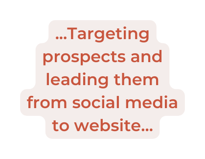 Targeting prospects and leading them from social media to website